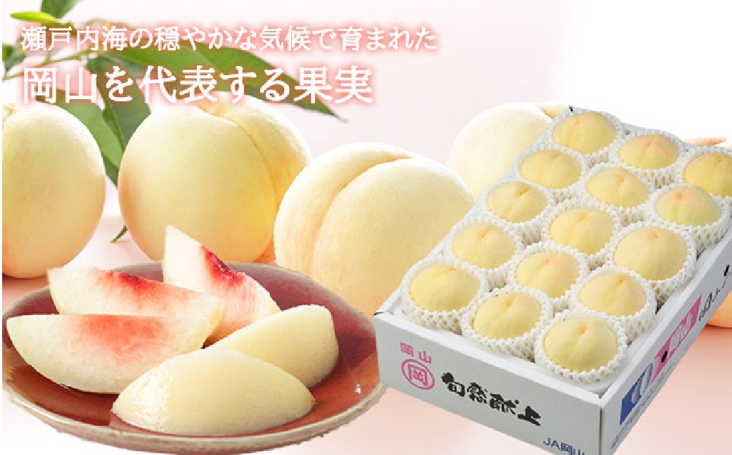 岡山白桃 ロイヤル 8～16玉 約4kg 岡山県産