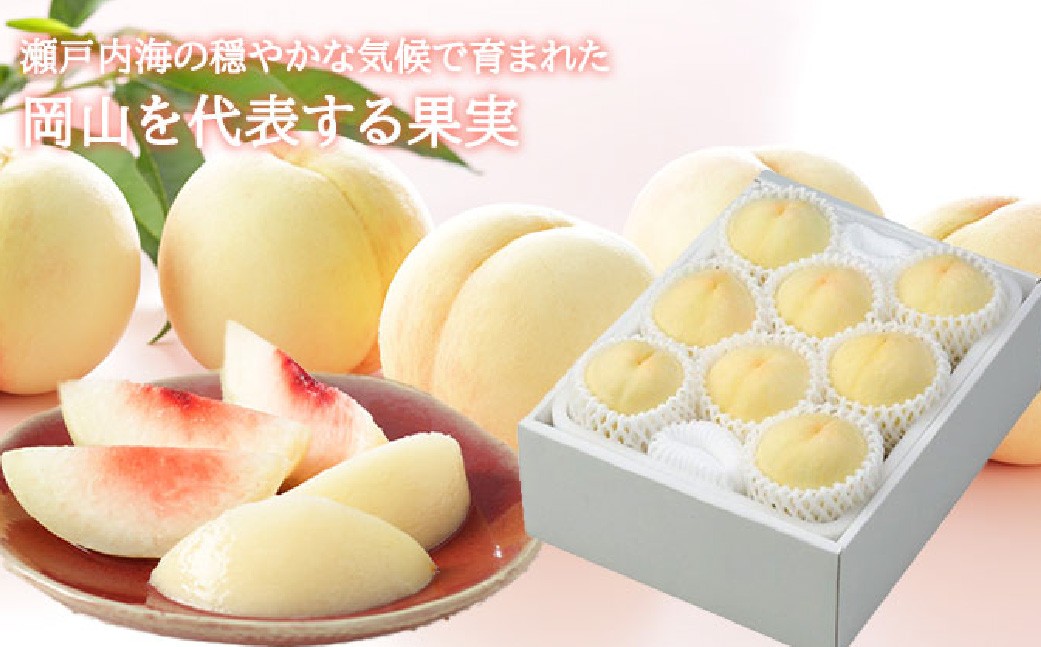 岡山白桃 ロイヤル 5～10玉 約2kg 岡山県産