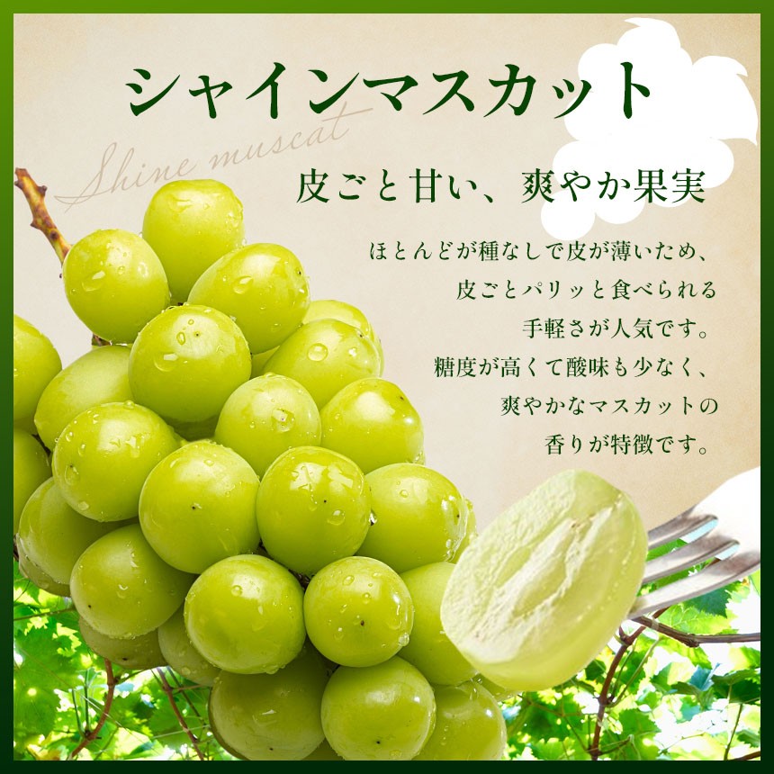 特別なぶどう。赤と緑で、食卓に聖なる彩り。クリスマスのごちそうにも！