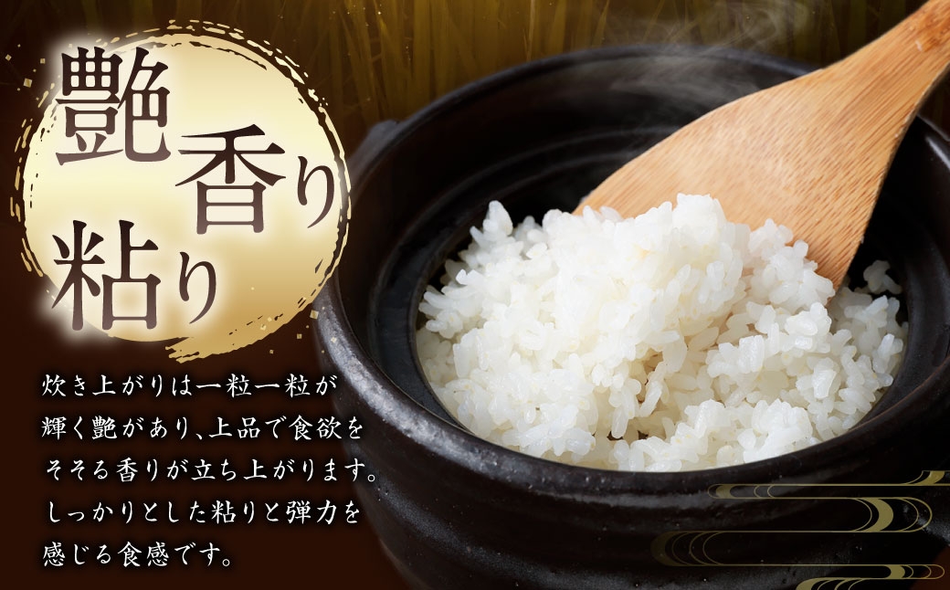 新潟県村上市岩船産 コシヒカリ6kg