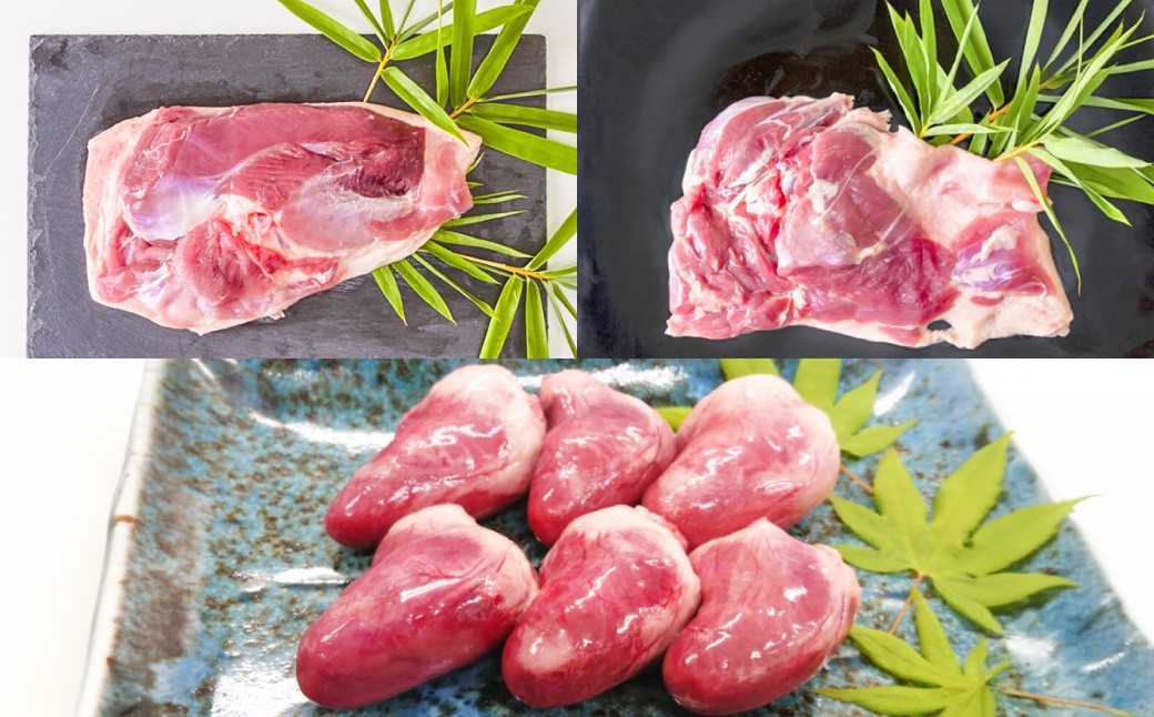 『京鴨』鴨肉 ふるさと 特選 セット（3パック（合計約900g））【配達不可：離島】