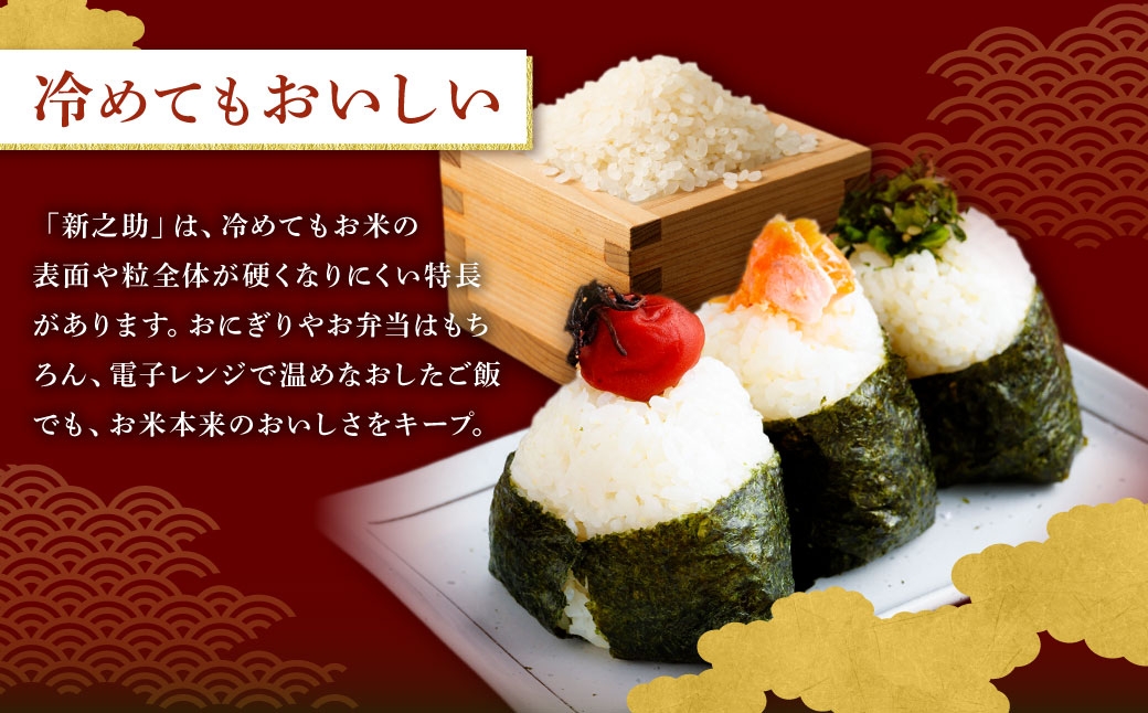 新潟県村上市岩船産 新之助6kg