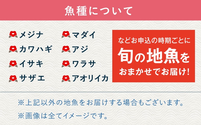 旬 おまかせ 定期便 鮮魚セット 地魚 魚 鮮魚 刺身 セット 詰め合わせ