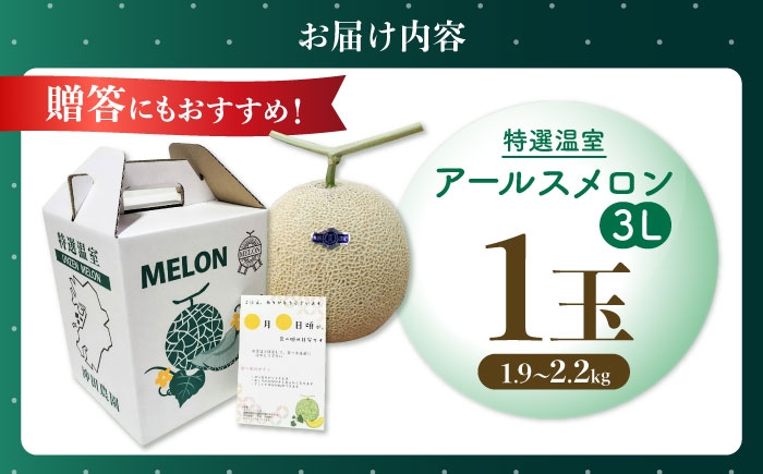 果物 フルーツ 青肉 メロン めろん 長崎 雲仙 甘い お取り寄せ 贈答