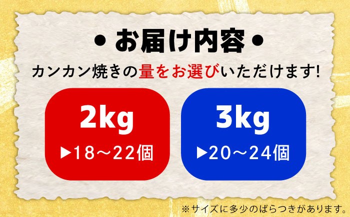 広島牡蠣 冷凍 殻付き カンカン焼き