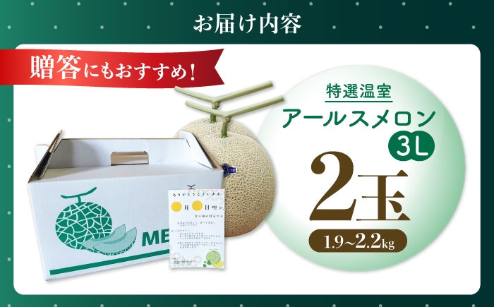 果物 フルーツ 青肉 メロン めろん 長崎 雲仙 甘い お取り寄せ 贈答
