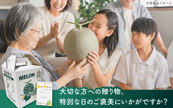 果物 フルーツ 青肉 メロン めろん 長崎 雲仙 甘い お取り寄せ 贈答