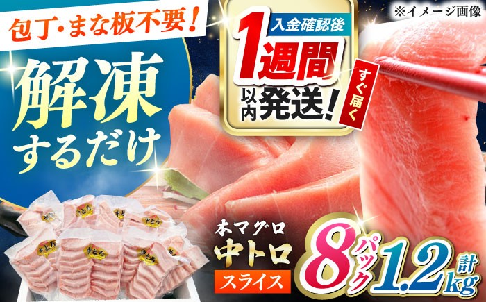 冷凍 マグロ まぐろ 中トロ 中とろ 鮪 本マグロ 赤身 ねぎとろ ネギトロ たたき トロ 刺身 海鮮 海産物 魚 柵 