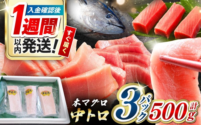 冷凍 マグロ まぐろ 中トロ 中とろ 鮪 本マグロ 赤身 ねぎとろ ネギトロ たたき トロ 刺身 海鮮 海産物 魚 柵 