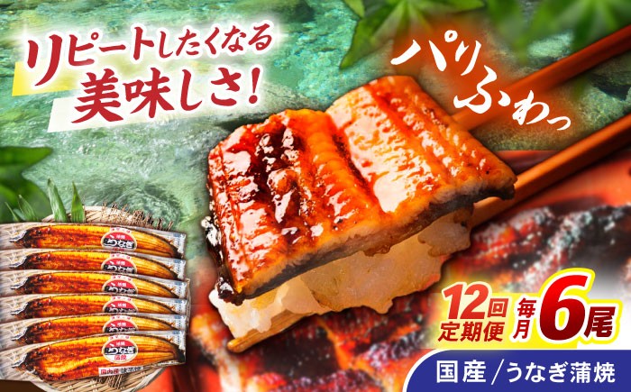 うなぎ ウナギ 鰻 国産うなぎ 国産鰻 蒲焼き 蒲焼 かばやき うな重 うな丼
