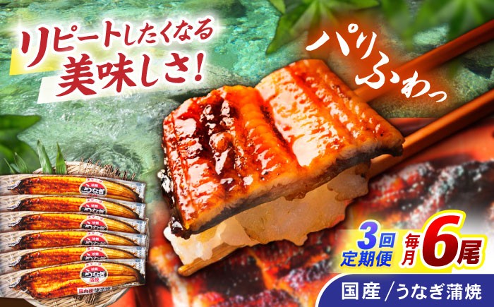 うなぎ ウナギ 鰻 国産うなぎ 国産鰻 蒲焼き 蒲焼 かばやき うな重 うな丼
