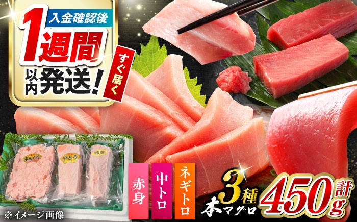 冷凍 マグロ まぐろ 中トロ 中とろ 鮪 本マグロ 赤身 ねぎとろ ネギトロ たたき トロ 刺身 海鮮 海産物 魚 柵 