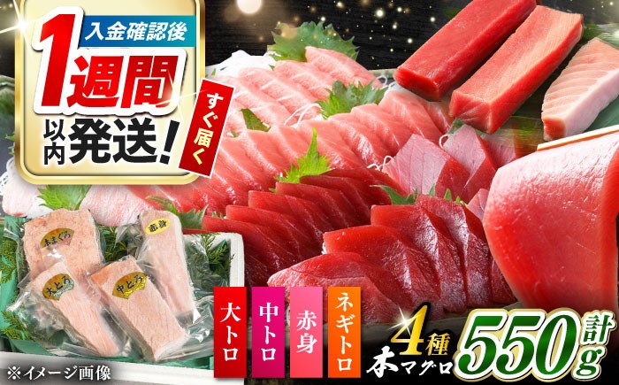 冷凍 マグロ まぐろ 中トロ 中とろ 鮪 本マグロ 赤身 ねぎとろ ネギトロ たたき トロ 刺身 海鮮 海産物 魚 柵 