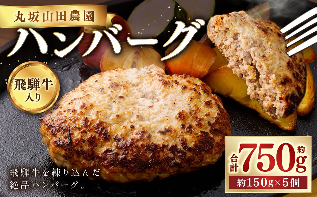 飛騨牛入り ハンバーグ 5個 セット