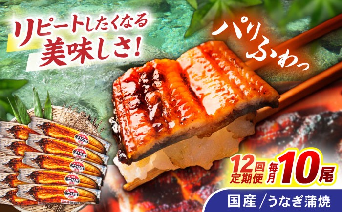 うなぎ ウナギ 鰻 蒲焼 たれ 老舗