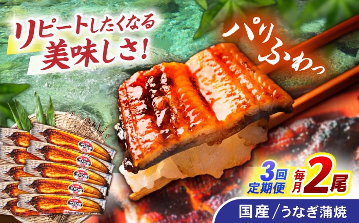 うなぎ ウナギ 鰻 国産うなぎ 国産鰻 蒲焼き 蒲焼 かばやき うな重 うな丼