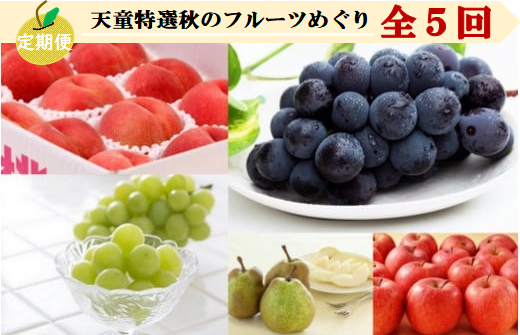 写真はイメージです