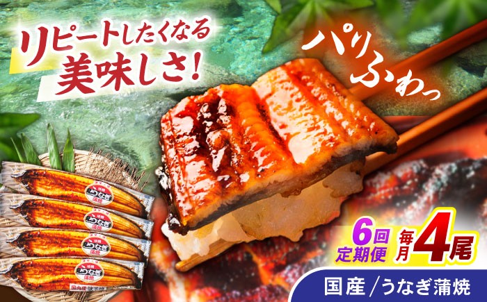 うなぎ ウナギ 鰻 国産うなぎ 国産鰻 蒲焼き 蒲焼 かばやき うな重 うな丼