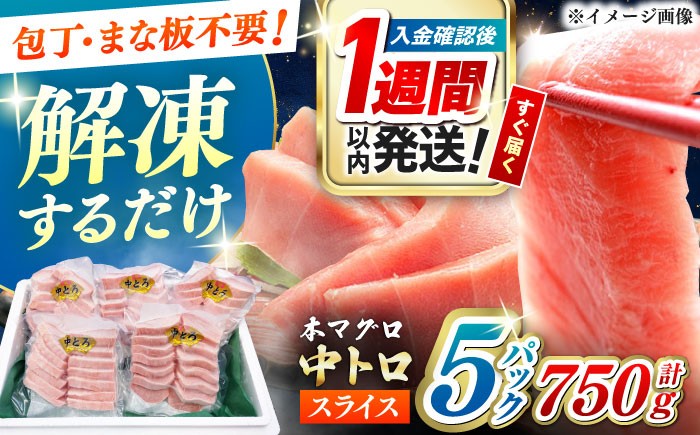 冷凍 マグロ まぐろ 中トロ 中とろ 鮪 本マグロ 赤身 ねぎとろ ネギトロ たたき トロ 刺身 海鮮 海産物 魚 柵 