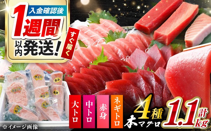 冷凍 マグロ まぐろ 中トロ 中とろ 鮪 本マグロ 赤身 ねぎとろ ネギトロ たたき トロ 刺身 海鮮 海産物 魚 柵 