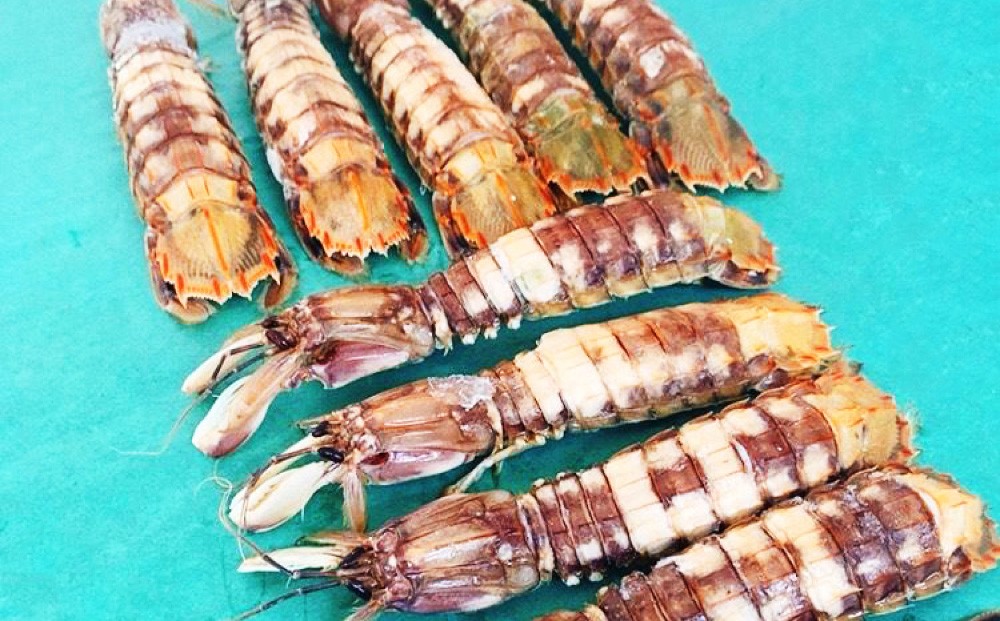 小樽産 剥き シャコオス・メス 各10本 （約200～400g） 蝦蛄 刺し身