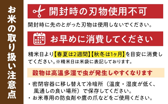 さがびより 白米 6kg　総計12kg  | 精米 特A 2回定期便 米 定期便 佐賀 ブランド米 
