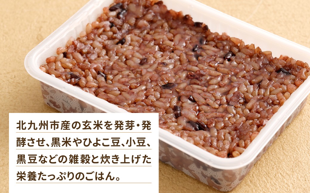 黒米と雑穀 発芽発酵玄米パックご飯 18食 ～タオの腸活デトックスごはん～ 