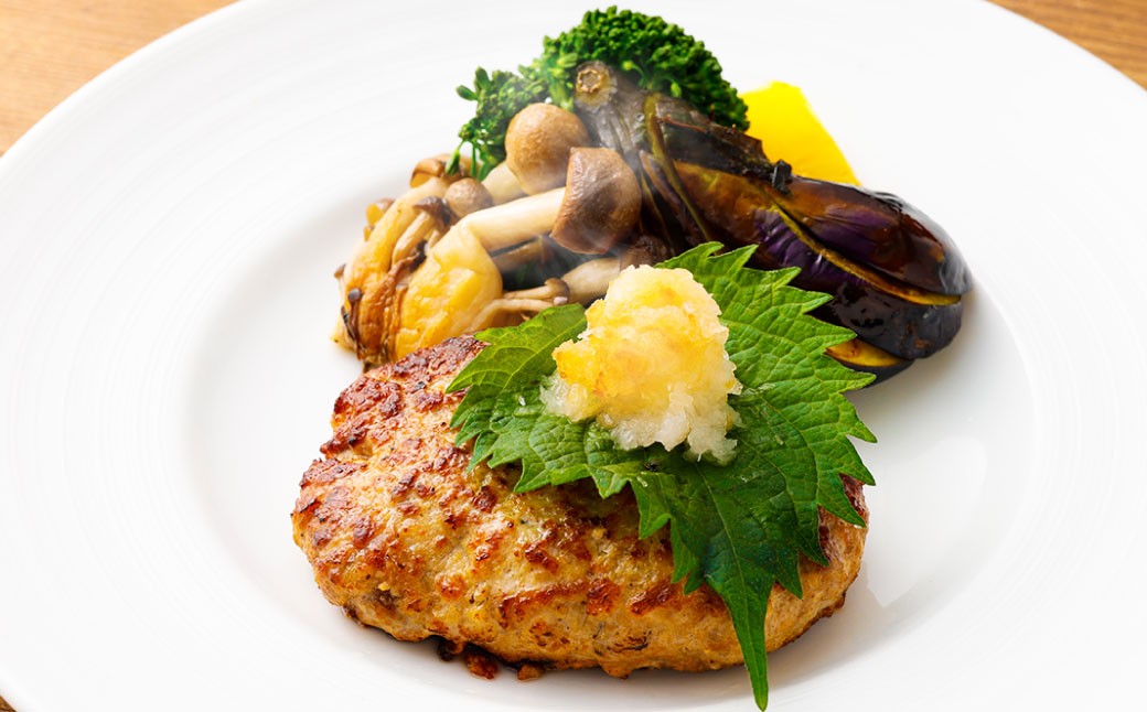 飛騨牛入り ハンバーグ 5個 セット