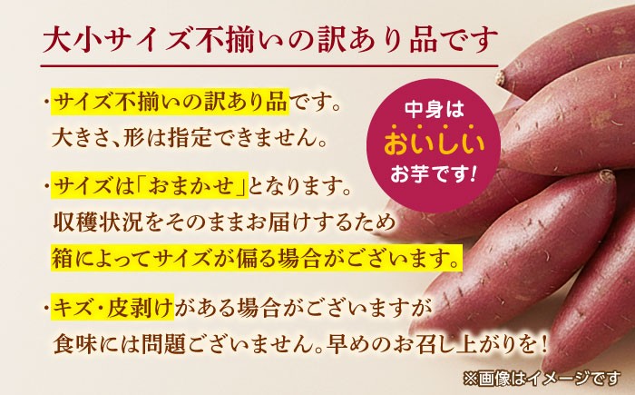 蔵出し 熟成 紅はるか さつまいも 約5kg サイズバラバラ 密 芋 いも サツマイモ 熟成 特産品 熊本県 九州