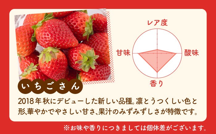 いちご 苺 イチゴ いちごさん フルーツ 果物 ギフト プレゼント ichigo 甘い いちご