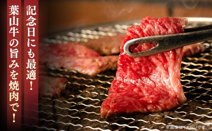 葉山牛 焼肉 牛肉 焼肉用 焼き肉 黒毛和牛 焼肉 葉山町