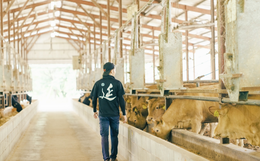 菊池のブランド牛延寿牛ハンバーグ・ローストビーフセット