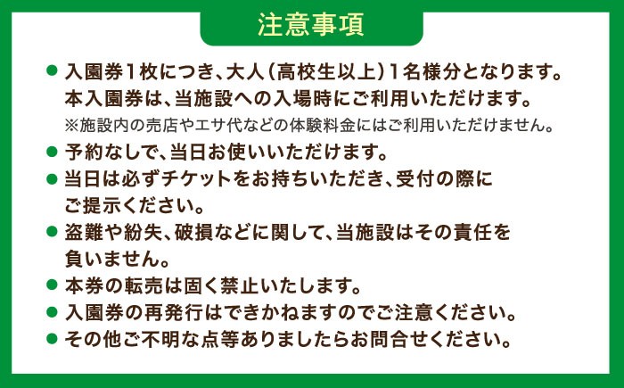 フォーゲルパーク 花 鳥 楽園 宍道湖 湖畔 パーク ベゴニア フクシア 鳥の温室 フクロウ ペンギン  松江 テーマパーク