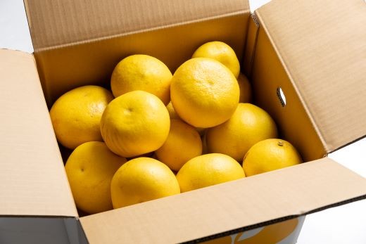 画像はイメージです