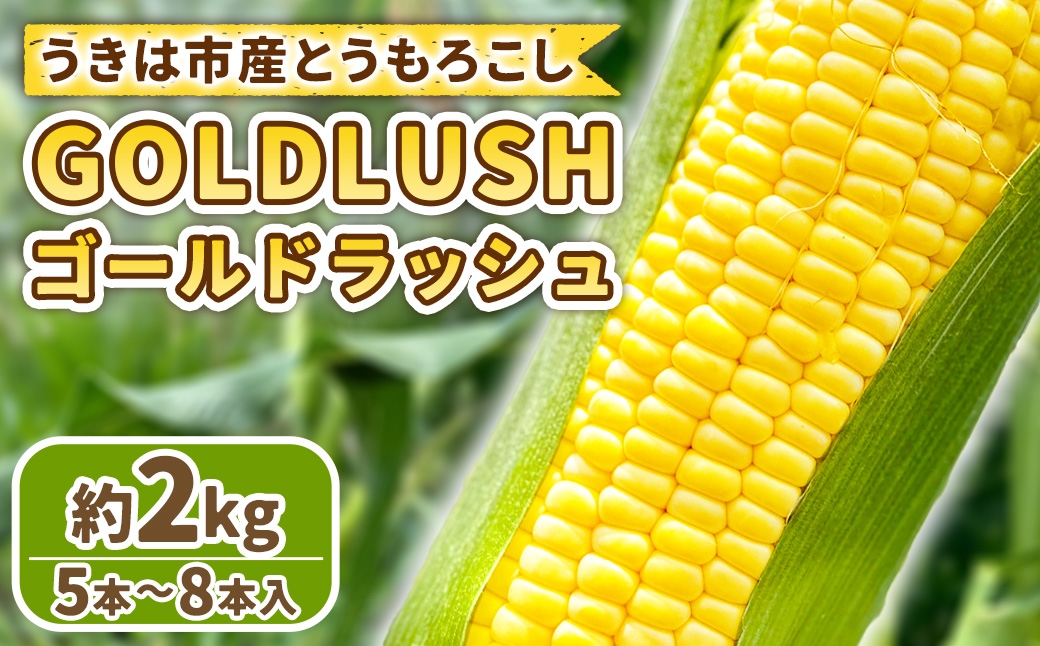 とうもろこし ゴールドラッシュ 5本～8本入 