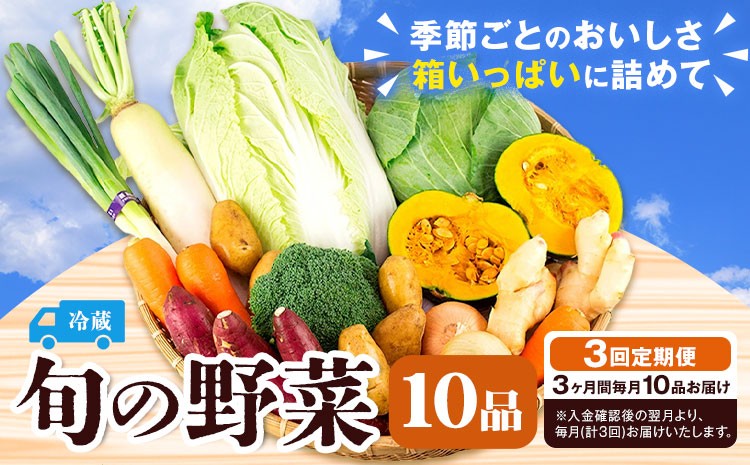 【定期便年3回】 旬の野菜 10品 