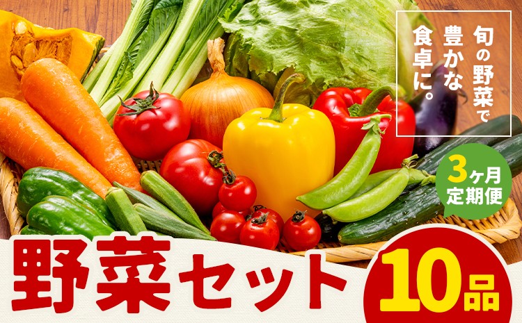 【定期便3回】野菜 10品程度 詰め合わせ