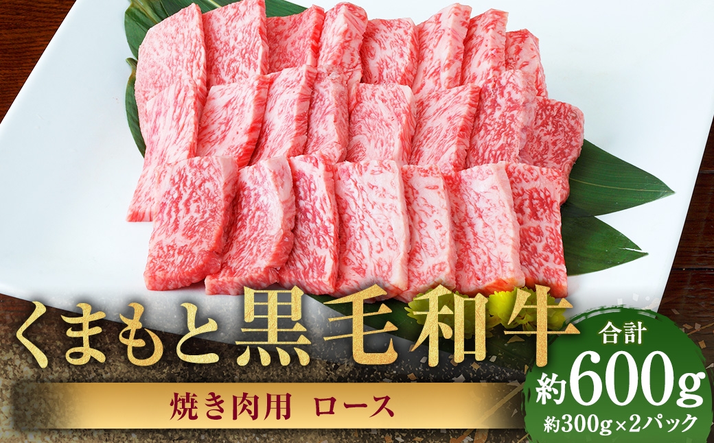 くまもと黒毛和牛 焼き肉用ロース 約600g（約300g×2パック）　