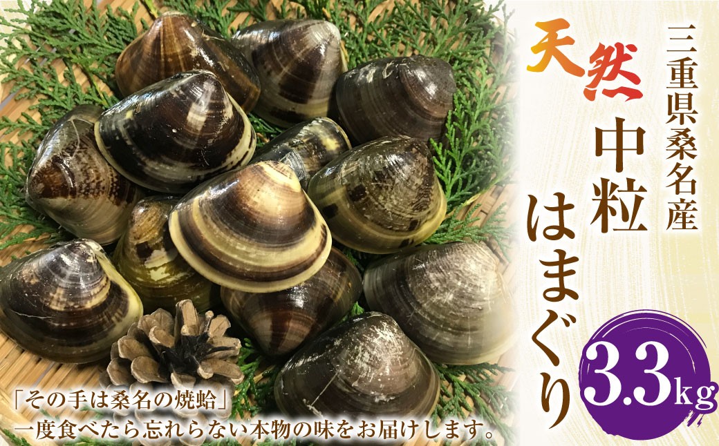 マルヨシ水産 桑名産中粒天然蛤 3.3kg