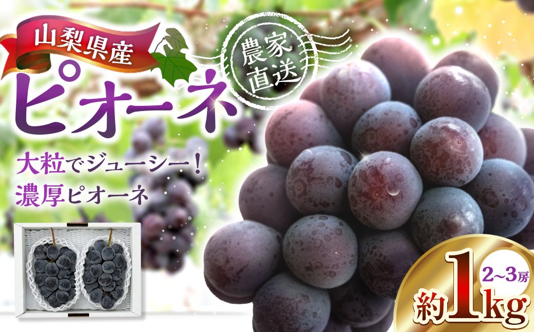 山梨県産ピオーネ 約1kg