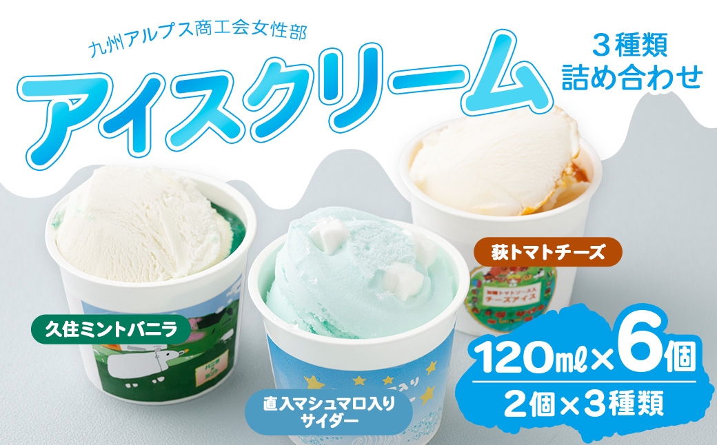 九州アルプス商工会女性部アイスクリーム 計6個入（各種2個入）（久住ミントバニラ、直入マシュマロ入りサイダー、荻トマトチーズ）