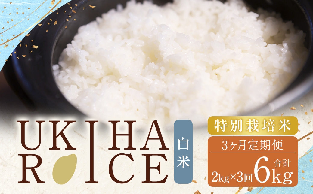 【3ヶ月定期便】みずほファーム UKIHA RICE 白米2kg×3回（特別栽培米）