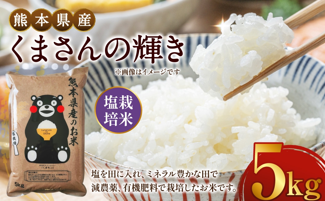 【2025年12月上旬発送開始】【令和7年度産】熊本県産塩栽培米くまさんの輝き5kg