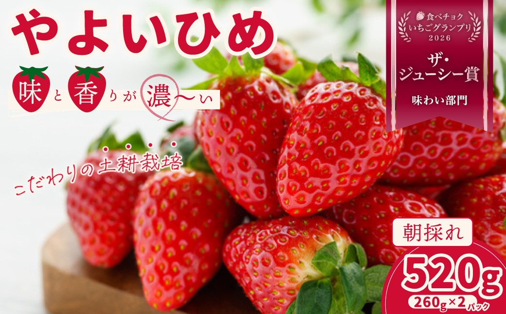 こだわりの土耕栽培で育てた味と香りが濃い苺「やよいひめ」を朝採れの新鮮なままお届け