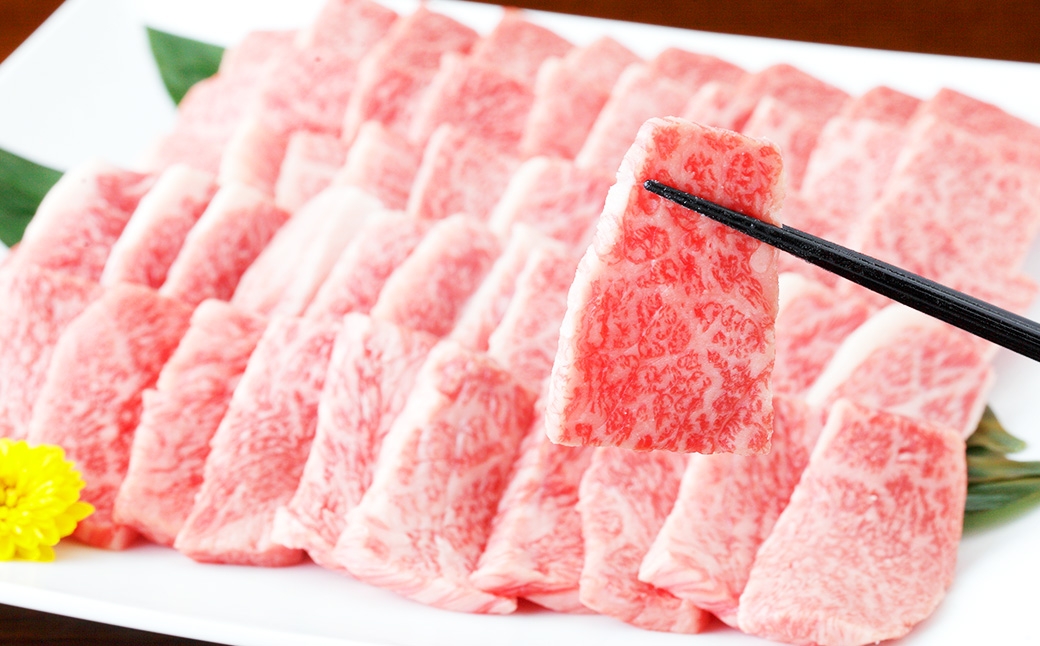 くまもと黒毛和牛 焼き肉用ロース 約600g（約300g×2パック）　