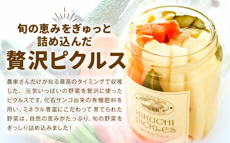 ピクルス小瓶 6本セット【メロンドーム】