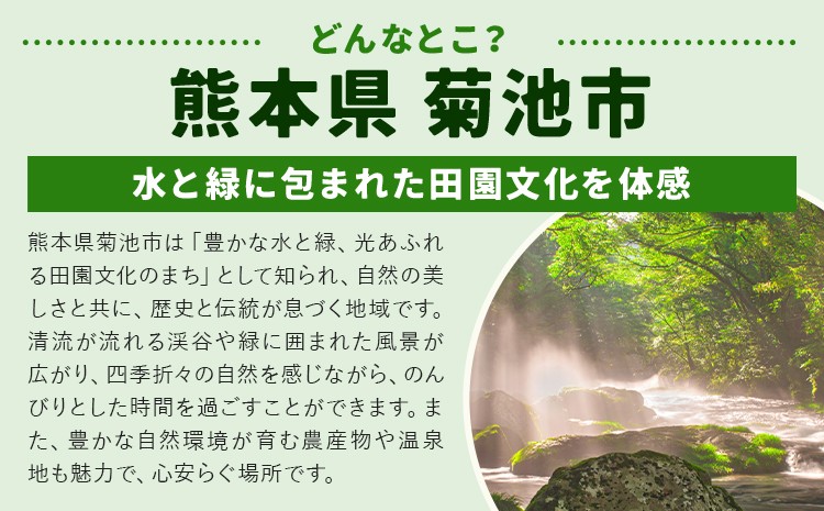 【定期便5回】 野菜 定期便 10品程度