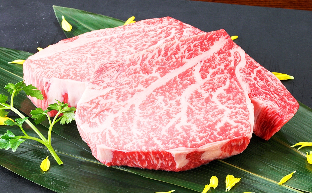 くまもと黒毛和牛 ヒレステーキ 約400g（約200g×2パック）