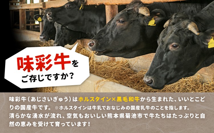 味彩牛 モモ・ウデ・肩ロース スライス 500g×6パック