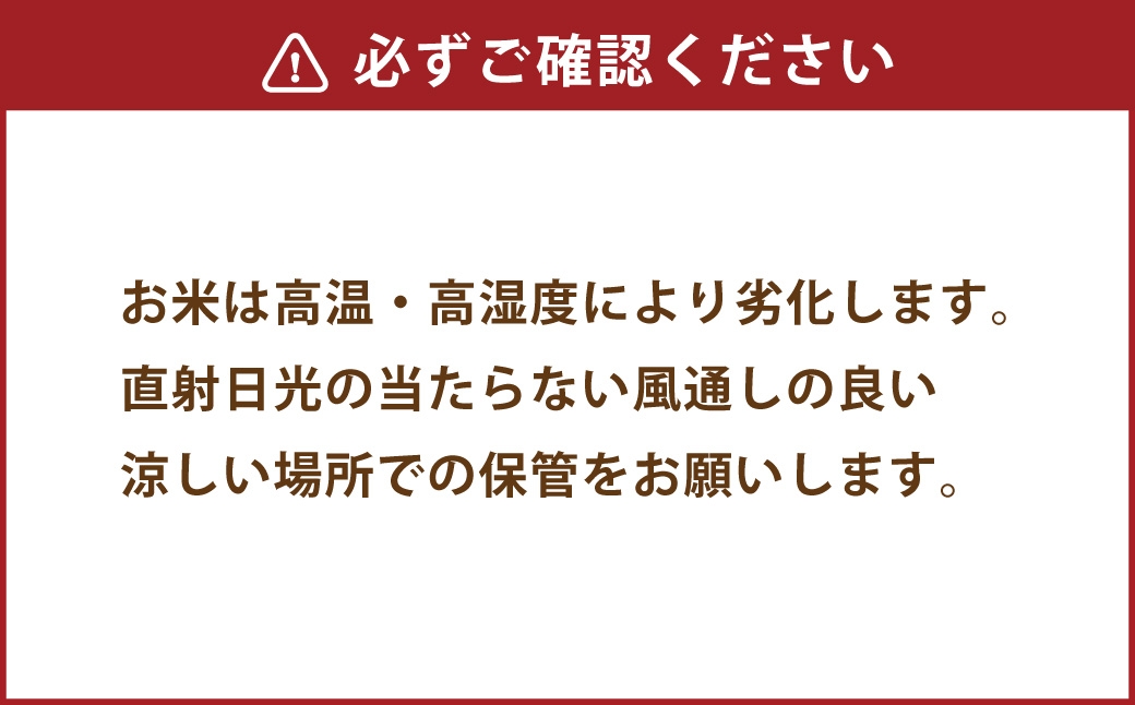 【2025年12月上旬発送開始】【令和7年度産】熊本県産くまさんの輝き5kg